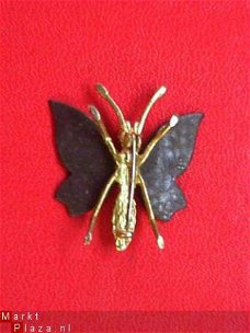 Toledo-Broche Vlinder