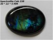 Cab #158 Cabochon Spectroliet - 1 - Thumbnail