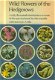 Ellis, E.A; Wild Flowers of Britain (6 deeltjes) - 1 - Thumbnail