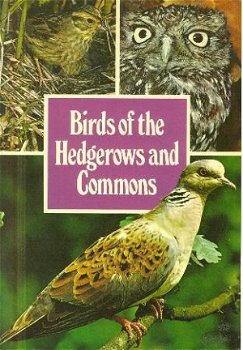 Jones, R; Birds of Britain (7 deeltjes samen) - 1