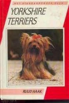 Yorkshire Terriers, Ruud Haak - 1