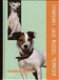 (Parson) Jack Russel Terrier, Esther Verhoef, - 1 - Thumbnail