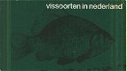 Vissoorten in Nederland - 1 - Thumbnail