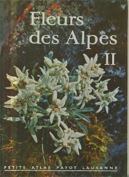 Rytz, Walter; Fleurs des Alpes II - 1