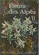 Rytz, Walter; Fleurs des Alpes II - 1 - Thumbnail