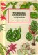 Rose, Henry; Bladplanten, cactussen en vetplanten - 1 - Thumbnail