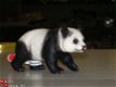 Panda, Reuze Panda. van Schleich. - 1 - Thumbnail