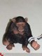 Chimpansee, vrouwtje. van Schleich. - 1 - Thumbnail