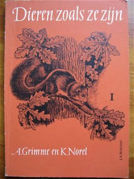 Dieren zoals ze zijn 1 - A. Grimme en K. Norel - 1