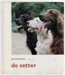 De Setter, Jan Van Rheenen