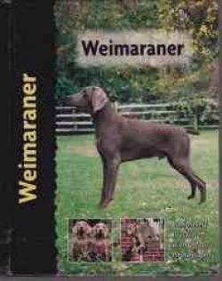 Weimaraner, Lavonia Harper - 1