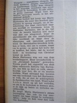 Onzichtbare vleugels - Ruth Schiel - 1