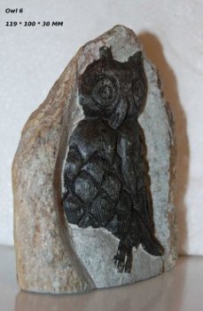 #6 Steatite soapstone Owl Speksteen Uil - 1