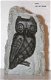 #8 Steatite soapstone Owl Speksteen Uil - 1 - Thumbnail