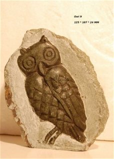 #9 Steatite soapstone Owl Speksteen Uil