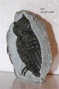 #9 Steatite soapstone Owl Speksteen Uil - 1