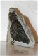 #10 Steatite soapstone Owl Speksteen Uil - 1 - Thumbnail