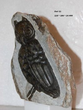 #11 Steatite soapstone Owl Speksteen Uil - 1