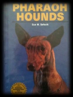 Pharaoh hounds, Sue M.Sefscik - 1