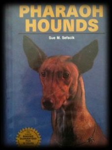 Pharaoh hounds, Sue M.Sefscik