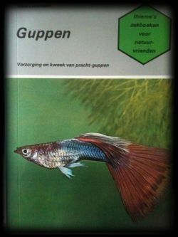 Guppen, Hans Luckmann - 1