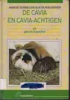 De cavia en cavia-achtigen, Anneke Vermeulen