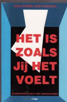 Het is zoals jij het voelt, Jean-Pierre Goetghebuer,