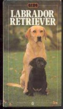 Labrador Retriever, Marjorie Satterthwaite, Gids - 1