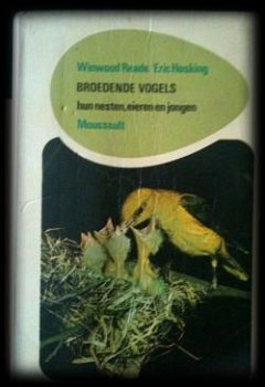 Broedende vogels, Winwood Reade, Eric Hosking, - 1