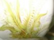 retro lampevoet aardewerk met mooie bloemen in nieuwstaat - 3 - Thumbnail
