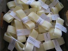 organza ribbon 2.0 cm cream