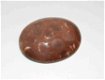 #125 Cabochon Fossiel Koraal Fossil Coral Cabochon - 1 - Thumbnail