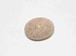 #107 Cabochon Fossiel Koraal Fossil Coral Cabochon - 1 - Thumbnail