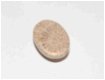 #107 Cabochon Fossiel Koraal Fossil Coral Cabochon - 1 - Thumbnail