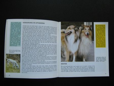 Dieren thuis - Reader's Digest - 1