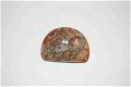 #108 Cabochon Fossiel Koraal Fossil Coral Cabochon - 1 - Thumbnail