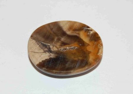 #109 Jasper Chalcedoon cabochon Java - 1