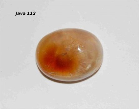 #112 Cabochon Fossiel Koraal Fossil Coral Cabochon - 1