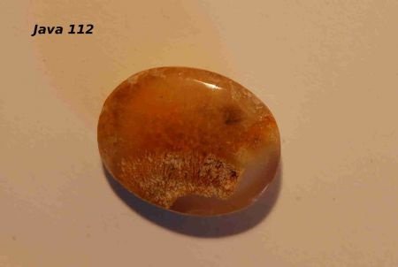 #112 Cabochon Fossiel Koraal Fossil Coral Cabochon - 1