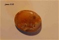 #112 Cabochon Fossiel Koraal Fossil Coral Cabochon - 1 - Thumbnail