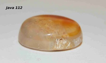 #112 Cabochon Fossiel Koraal Fossil Coral Cabochon - 1