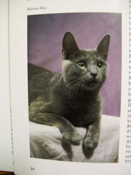Katten encyclopedie Esther Verhoef Hard kaft - 1