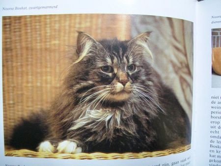 Katten encyclopedie Esther Verhoef Hard kaft - 1