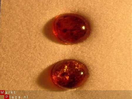 Amber oorstekers in 925 zilver #31 - 1
