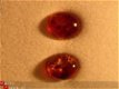 Amber oorstekers in 925 zilver #31 - 1 - Thumbnail