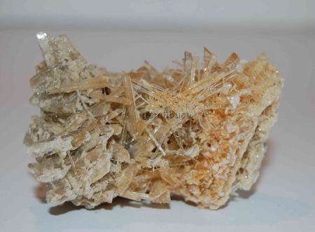 GRPL #5 Seleniet of Gips Kristallen Polen - 1