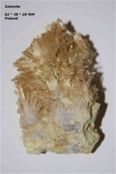 GRPL #7 Seleniet of Gips Kristallen Polen - 1