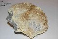 GRPL #10 Seleniet of Gips & Zwavel Kristallen Polen - 1 - Thumbnail