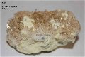 GRPL #10 Seleniet of Gips & Zwavel Kristallen Polen - 1 - Thumbnail
