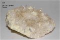 GRPL #19 Seleniet of Gips & Zwavel Kristallen Polen - 1 - Thumbnail